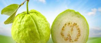 Представляем вашему вниманию тропическое яблоко или экзотический фрукт гуава Что такое гуава