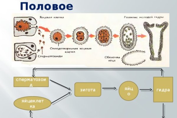 Кракен даркнет зеркало