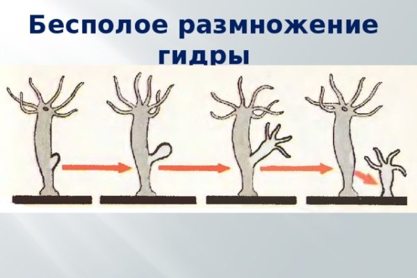 Кракен безопасный вход
