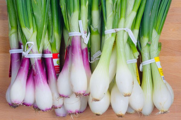 Сайты по продаже наркотиков