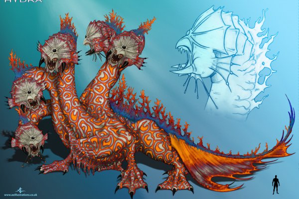 Kraken17at