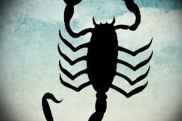 Kraken forum